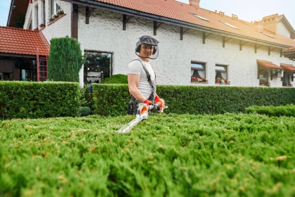 Hedge Maintenance: Essential Tips for a Healthy Hedge