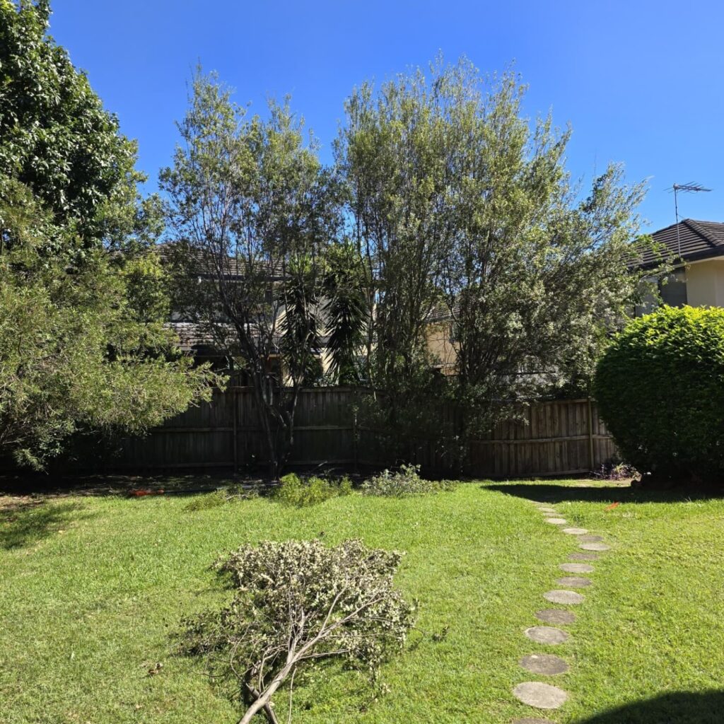 Emergency Tree Removal in Sydney: What It Reveals About Extreme Weather Events