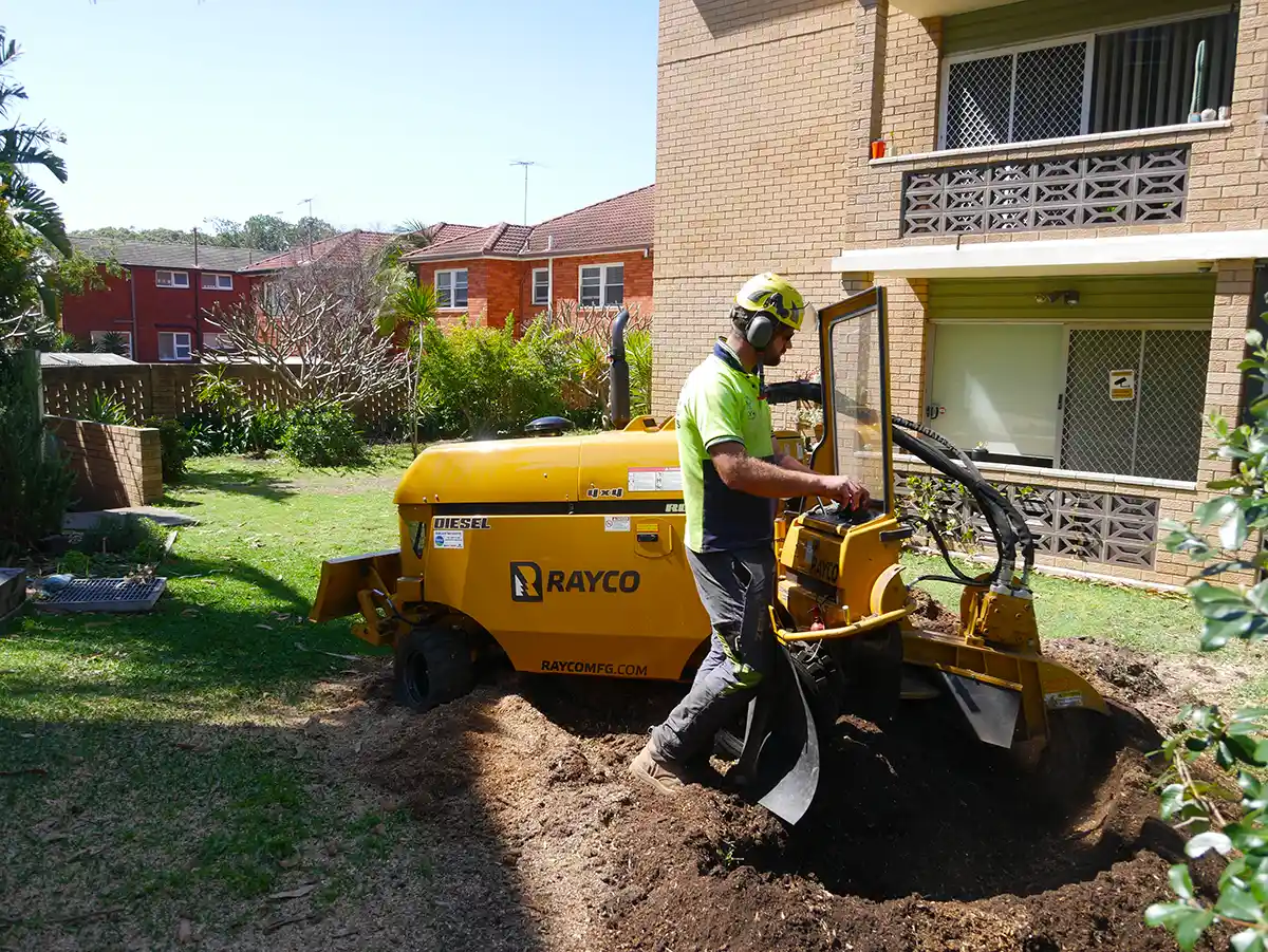 Emergency Tree Removal in Sydney: What It Reveals About Extreme Weather Events